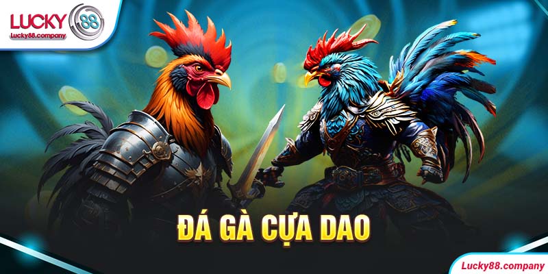 đá gà cựa dao