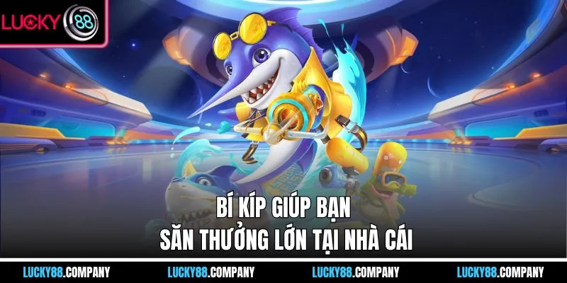 Bí kíp giúp bạn săn thưởng lớn tại nhà cái